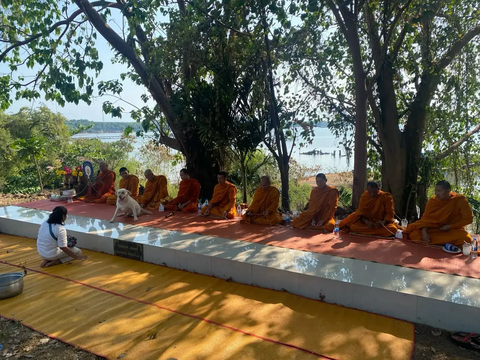 Row of Buddhist monks in orange robes chanting under trees by the sea on Koh Mak