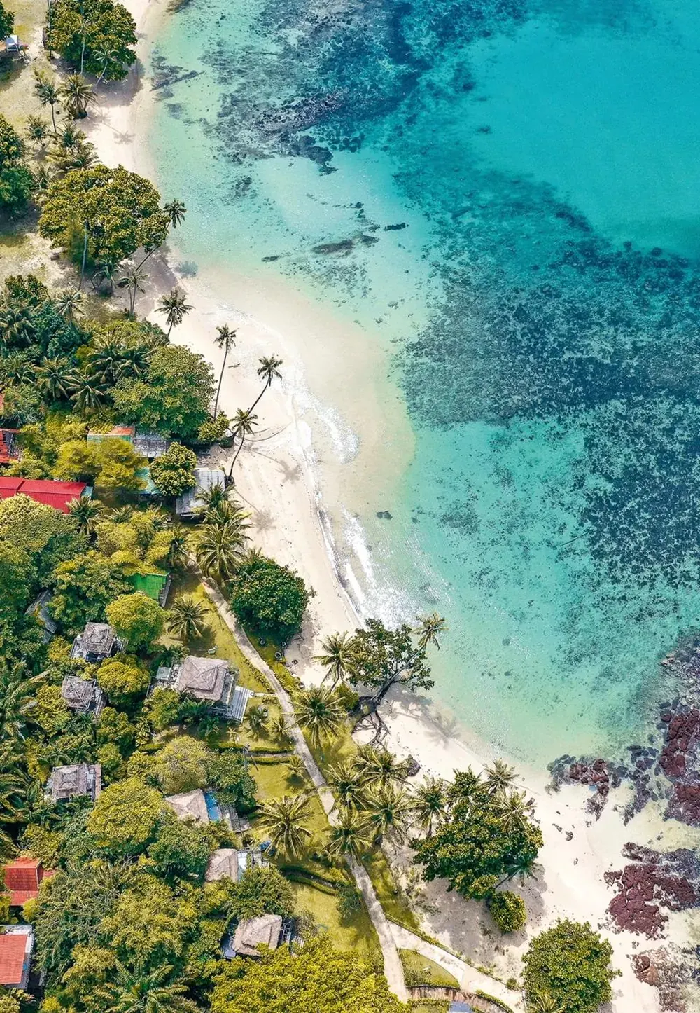 Aerial view of a palm-lined Koh Mak beach with turquoise water and coral reef